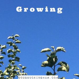 growing