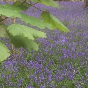 Uplifting Workshops